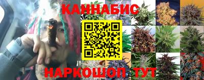гашик Изобильный